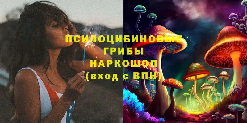 купить   Нытва  Псилоцибиновые грибы Psilocybe 