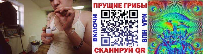 МЕГА зеркало  цены   Нытва  Псилоцибиновые грибы мицелий 